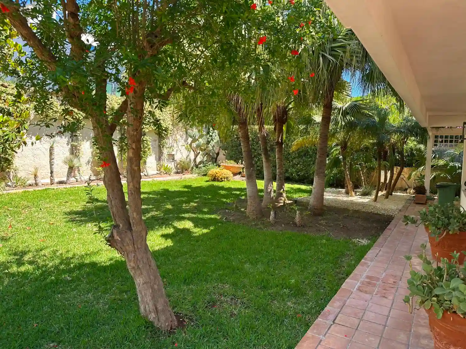 GIARDINO