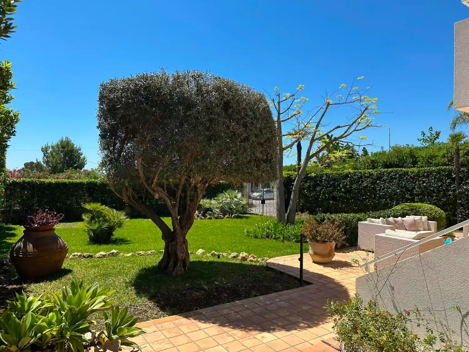 GIARDINO