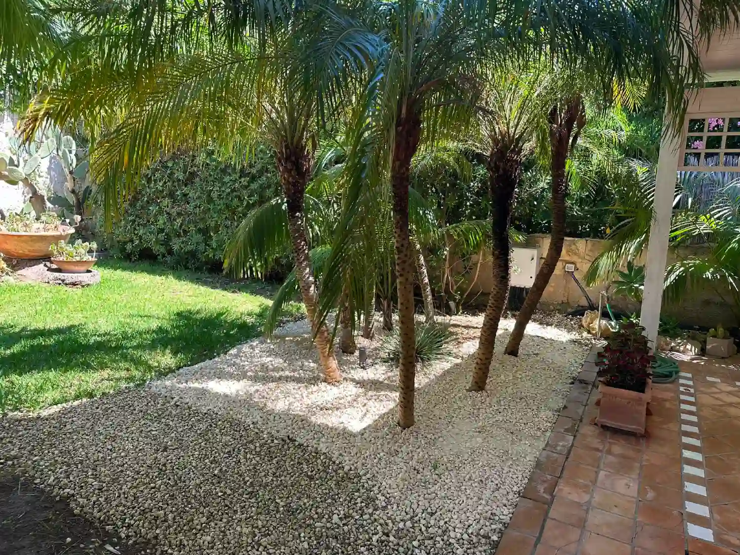 GIARDINO