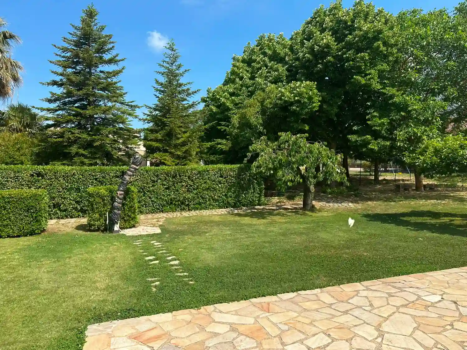 SOLARIUM PISCINA