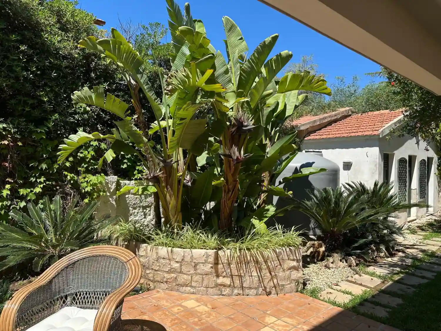 GIARDINO